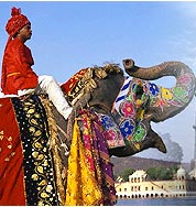Tourism Asia Online