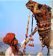 Tourism Asia Online