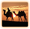 Rajasthan Vacation Packages