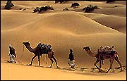 Cultural Rajasthan