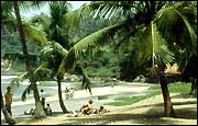 Kovalam Beach Kerala, Tour Packages
