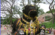 Mysore Temple Tour Packages